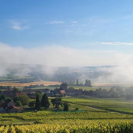 Le Coq De Champagne Villa Dormans Kültér fotó