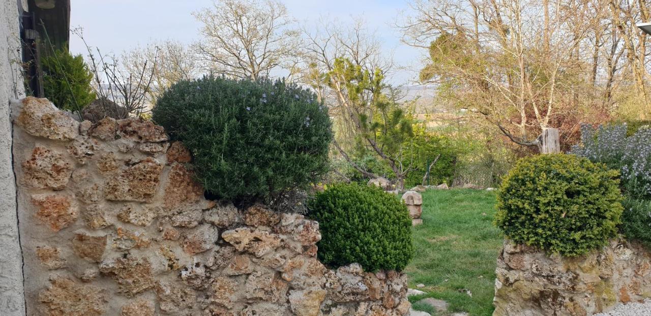 Le Coq De Champagne Villa Dormans Kültér fotó