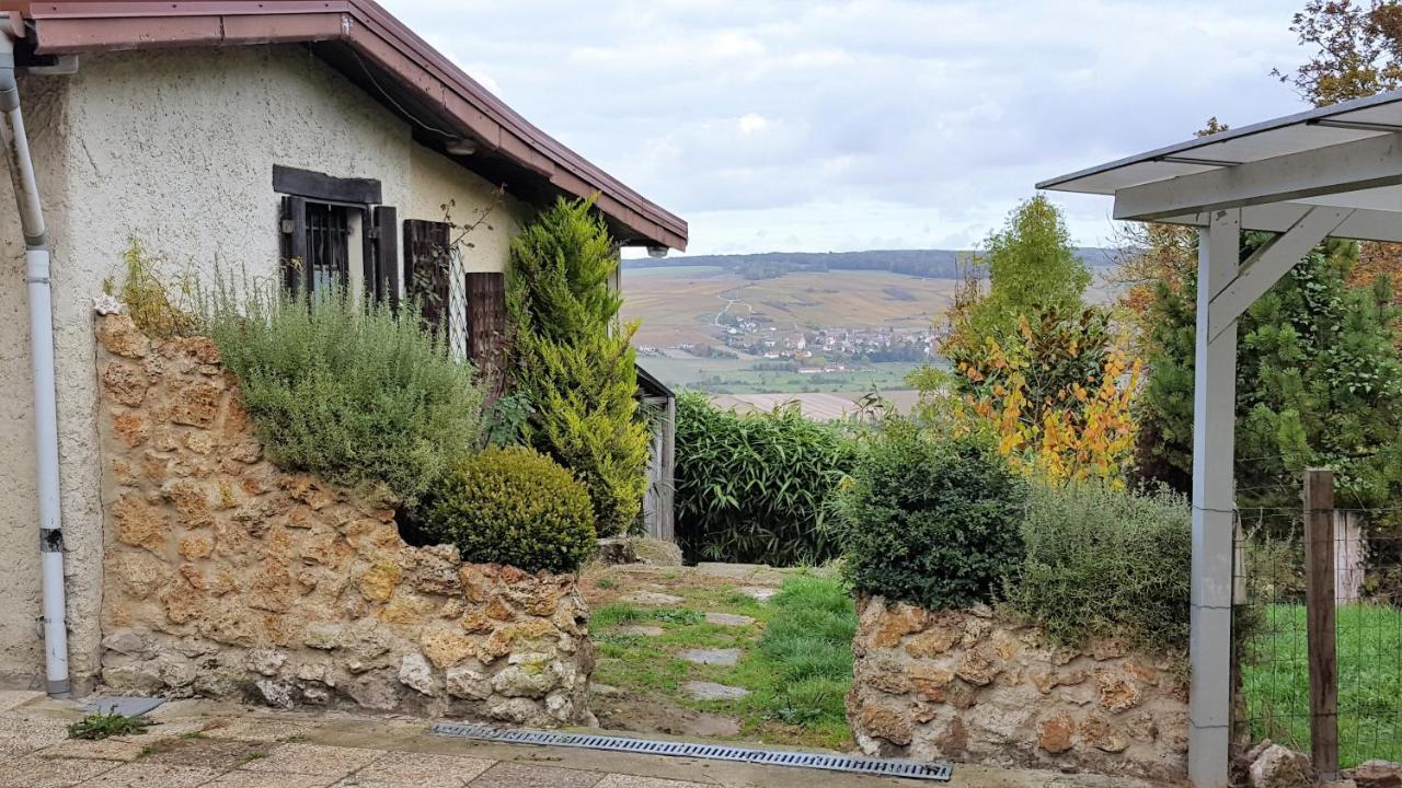 Le Coq De Champagne Villa Dormans Kültér fotó