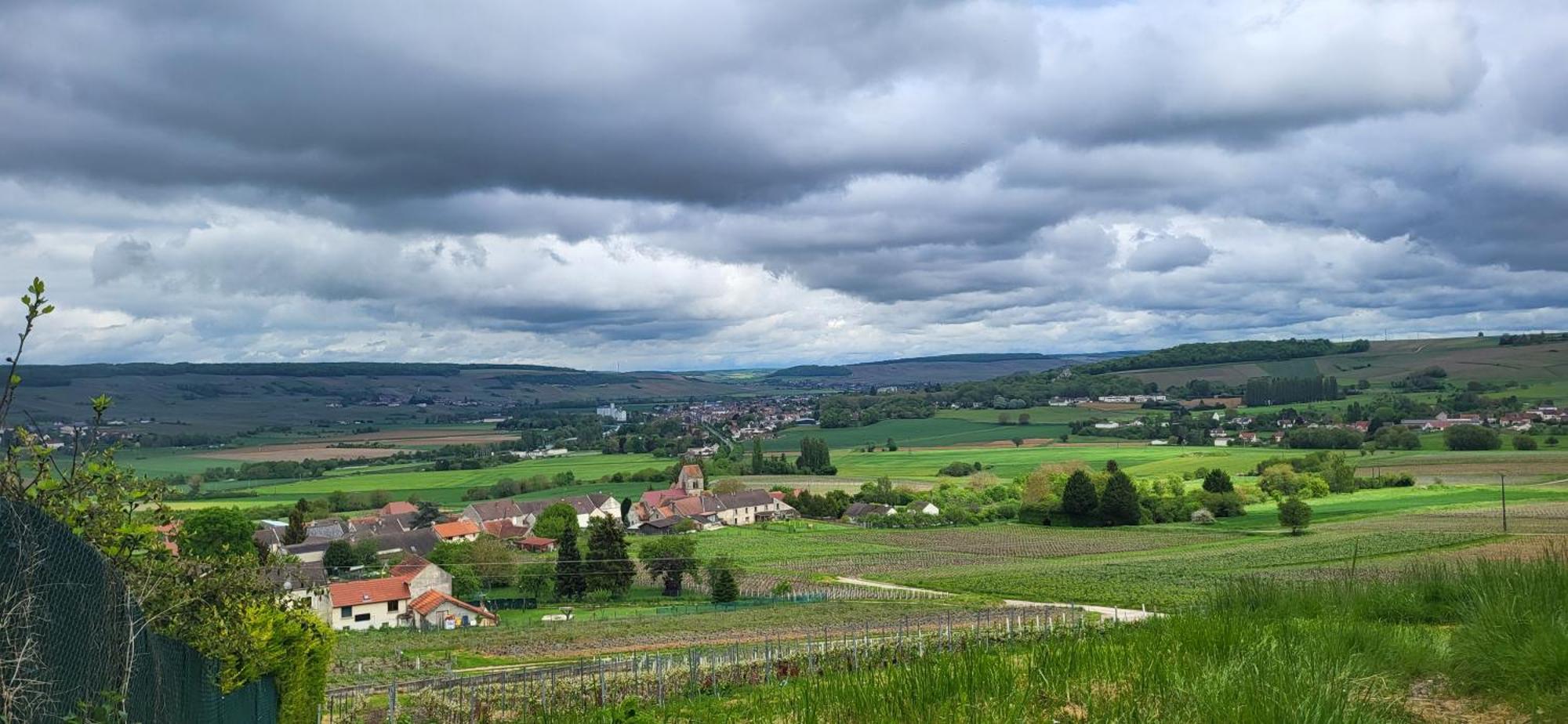 Le Coq De Champagne Villa Dormans Kültér fotó