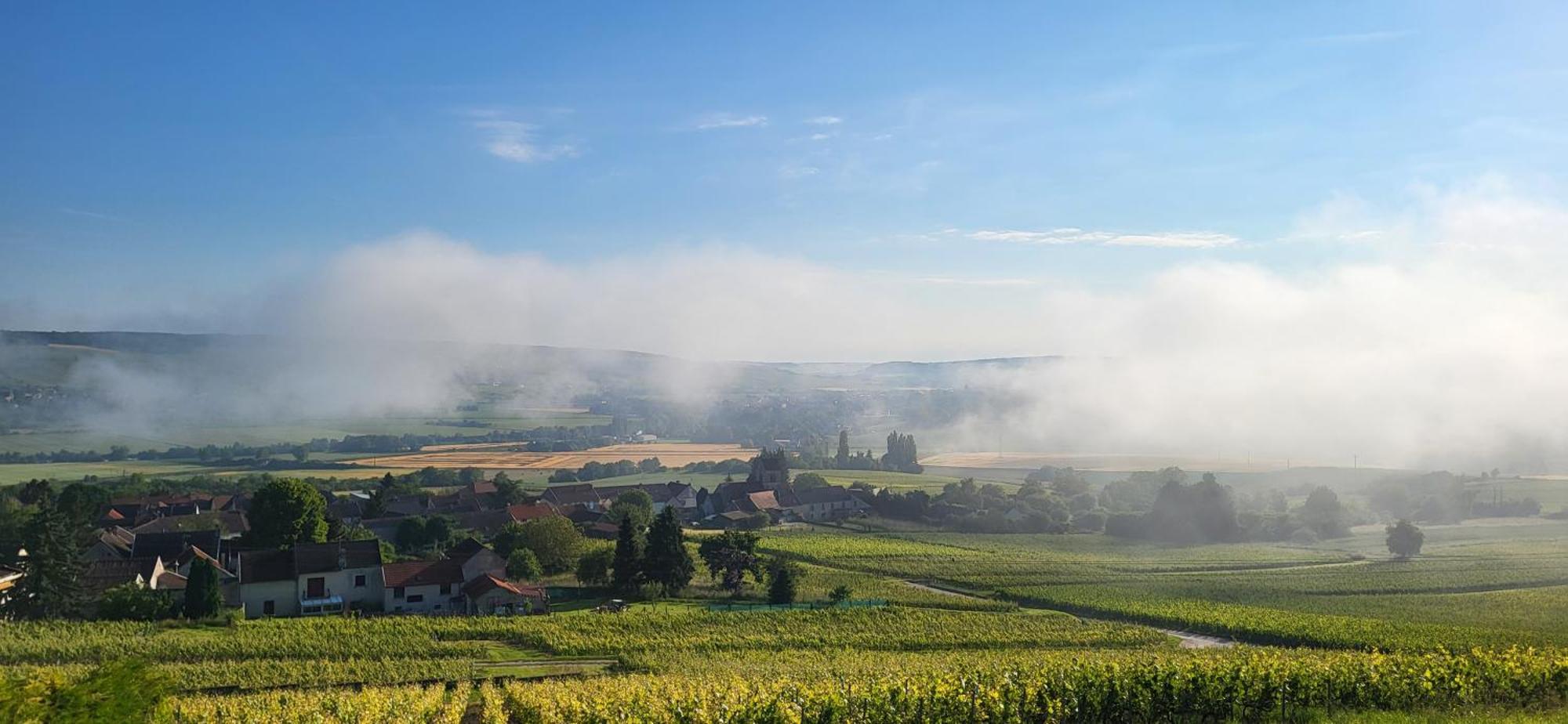 Le Coq De Champagne Villa Dormans Kültér fotó