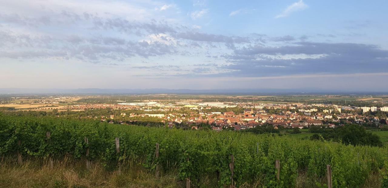 Le Coq De Champagne Villa Dormans Kültér fotó